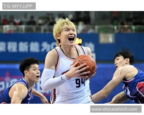 王哲林在CBA赛场的崛起与挑战：从新星到领军人物的成长之路